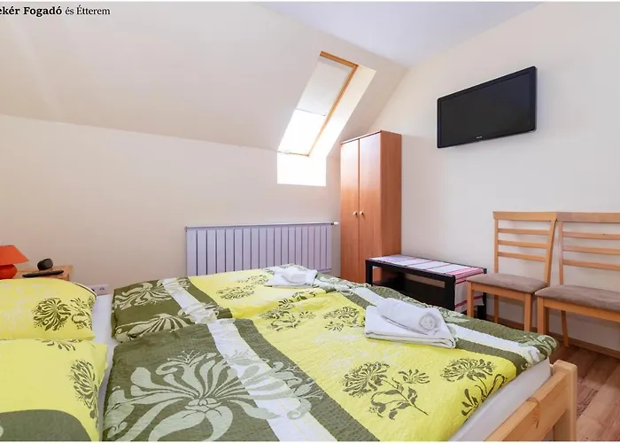 Bed & Breakfast Szekér Bátonyterenye