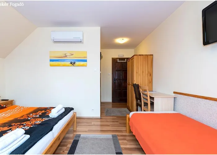 Szekér Bed & Breakfast